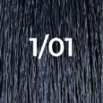 BLUE BLACK 1/01