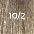 LIGHTENED NATURAL ASH BLONDE 10/2